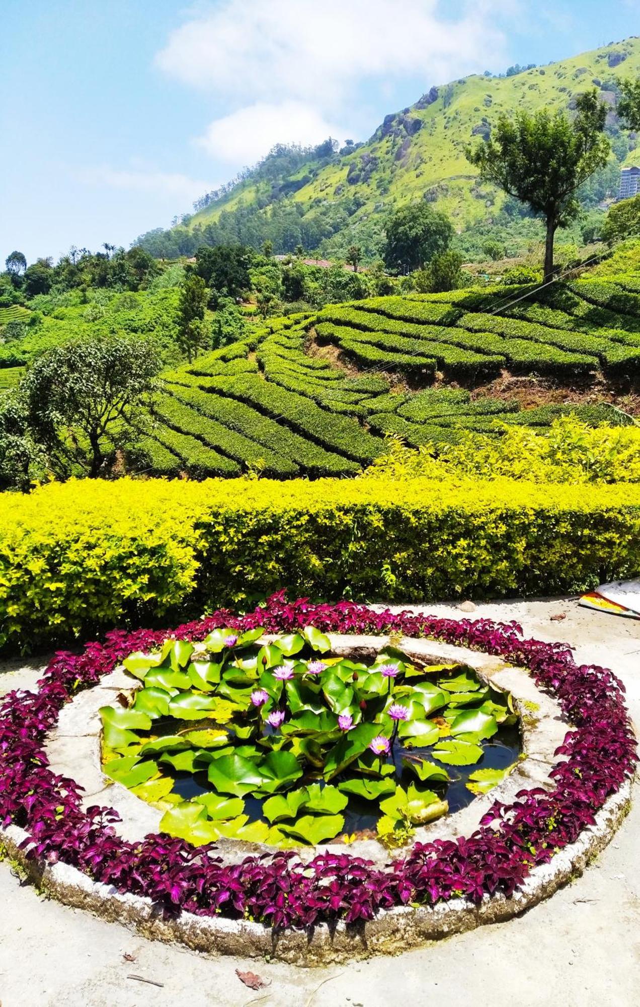 Blackcherry Munnar Exterior photo